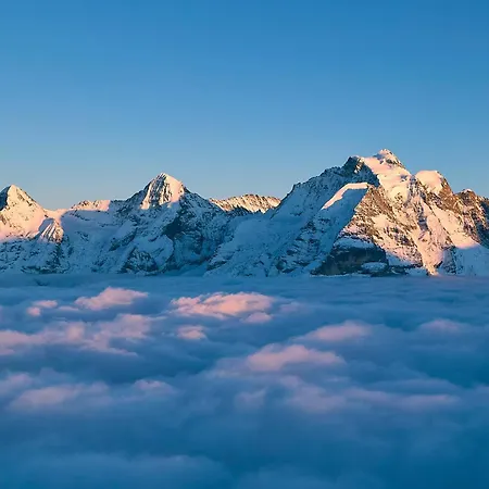 בקתה Fernblick - Panoramic View ביטנברג