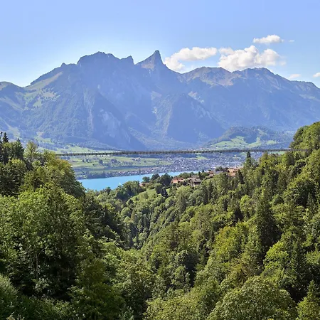 Fernblick - Panoramic View