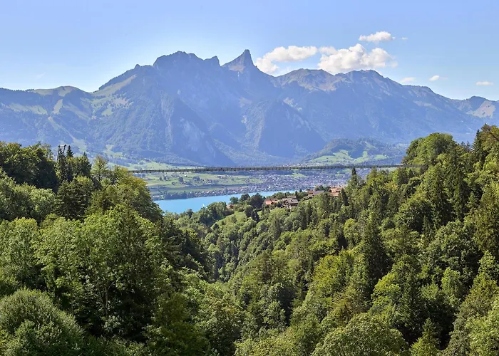 Fernblick - Panoramic View