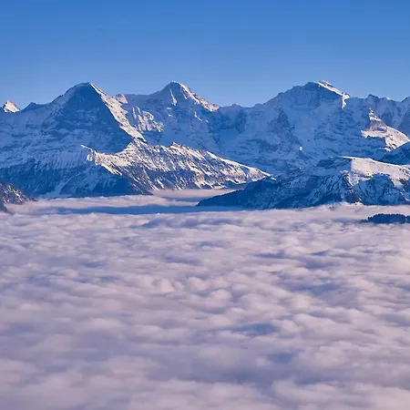 Fernblick - Panoramic View Beatenberg