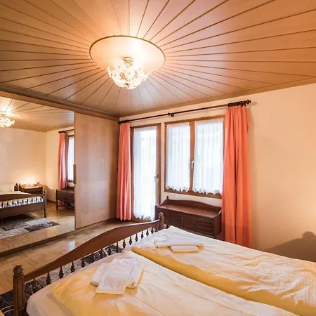 Fernblick - Panoramic View *