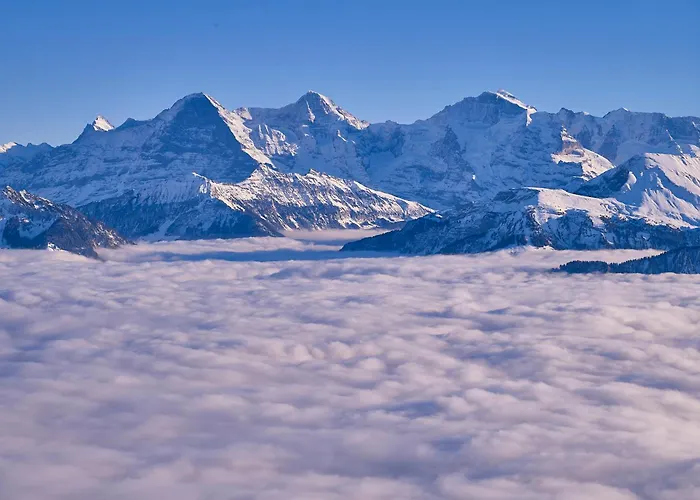 Fernblick - Panoramic View Beatenberg